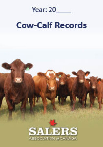 Salers Cow_Calf Records Cover