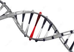 DNA